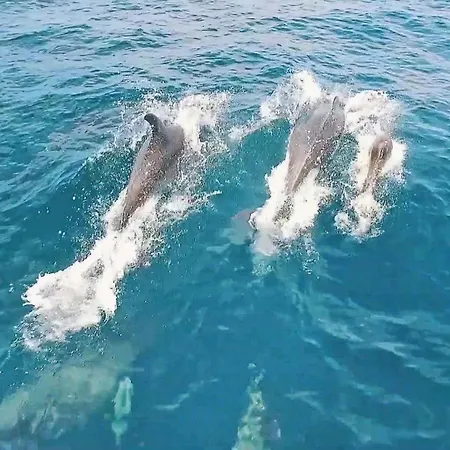 Marina By Algarve Vacation * 阿尔布费拉